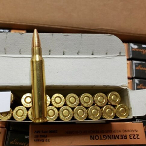 .223 Remington